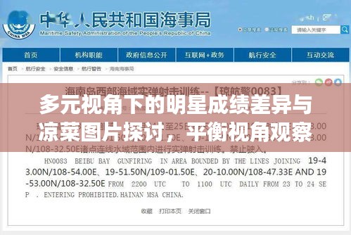 多元视角下的明星成绩差异与凉菜图片探讨,平衡视角观察分析