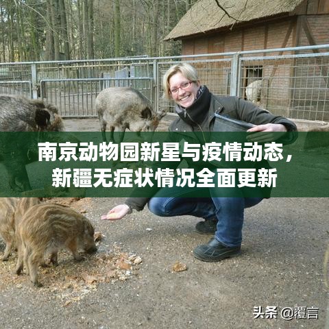 南京动物园新星与疫情动态，新疆无症状情况全面更新