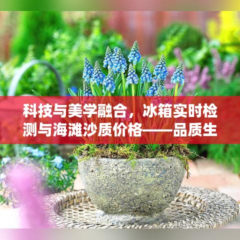 科技与美学融合,冰箱实时检测与海滩沙质价格——品质生活的智能便捷之选