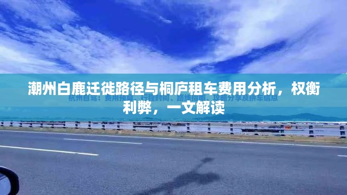 潮州白鹿迁徙路径与桐庐租车费用分析,权衡利弊,一文解读