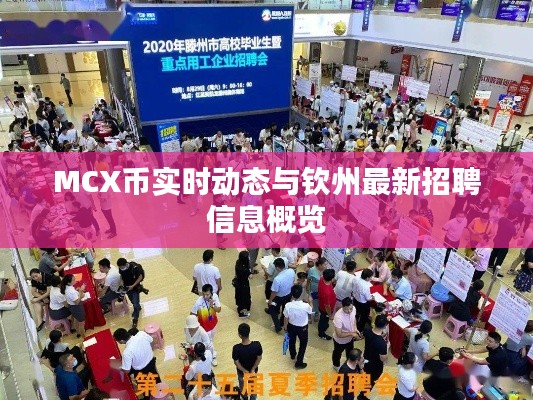 MCX币实时动态与钦州最新招聘信息概览