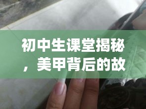 初中生课堂揭秘，美甲背后的故事与实时修指甲价格动态