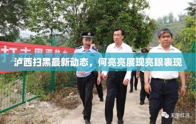 泸西扫黑最新动态，何亮亮展现亮眼表现