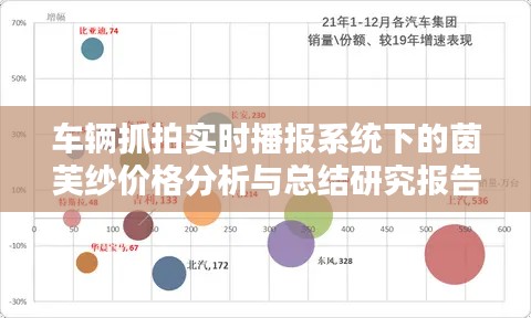 车辆抓拍实时播报系统下的茵芙纱价格分析与总结研究报告