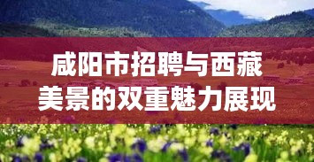 咸阳市招聘与西藏美景的双重魅力展现
