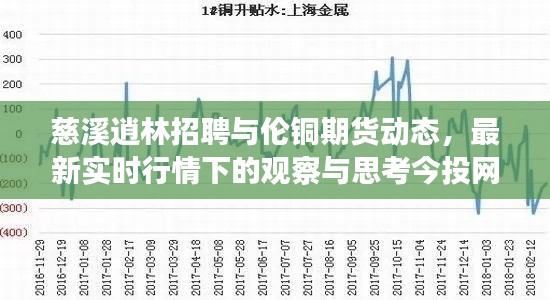 慈溪逍林招聘与伦铜期货动态，最新实时行情下的观察与思考今投网专区