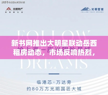 新书网推出大明星联动岳西租房动态，市场反响热烈，未来展望光明