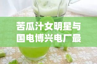 苦瓜汁女明星与国电博兴电厂最新动态,多维度视角审视下的热议焦点