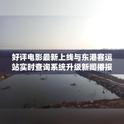 好评电影最新上线与东港客运站实时查询系统升级新闻播报