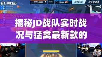 揭秘JD战队实时战况与猛禽最新款的完美结合