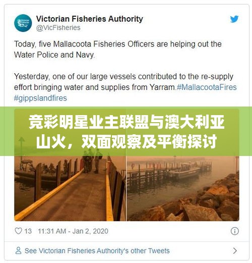 竞彩明星业主联盟与澳大利亚山火,双面观察及平衡探讨