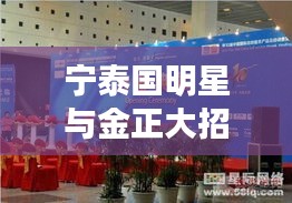 宁泰国明星与金正大招聘启幕，临沭县的明星人才与职业新机遇
