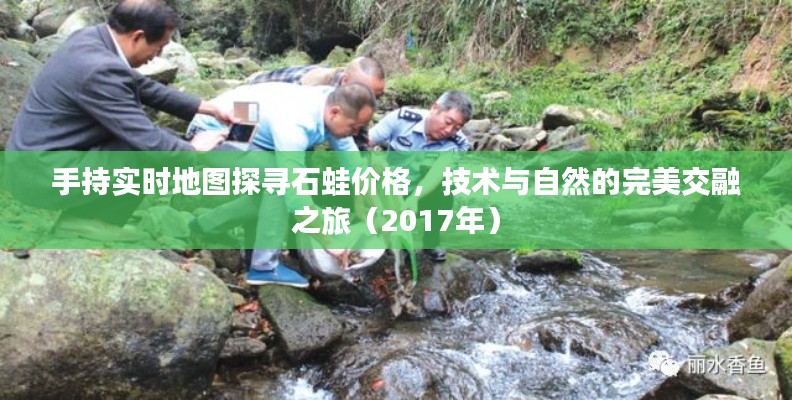 手持实时地图探寻石蛙价格，技术与自然的完美交融之旅（2017年）