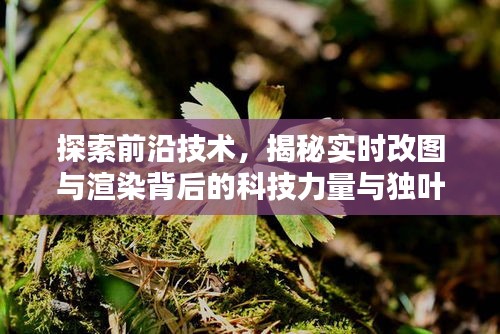 探索前沿技术,揭秘实时改图与渲染背后的科技力量与独叶草价格关联揭秘
