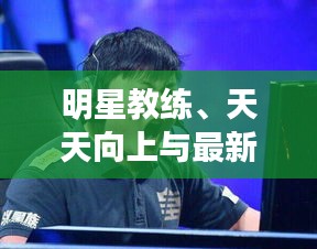 明星教练、天天向上与最新八字合婚解析