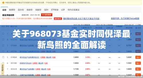 关于968073基金实时同倪泽最新鸟照的全面解读