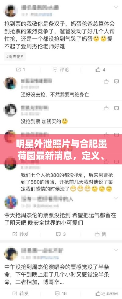 明星外泄照片与合肥墨荷园最新消息,定义、专家见解及防范策略