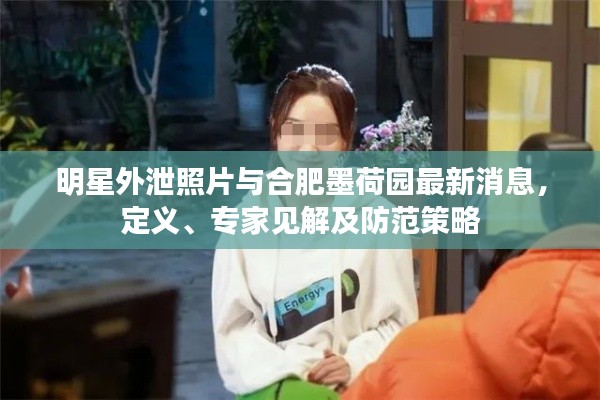 明星外泄照片与合肥墨荷园最新消息,定义、专家见解及防范策略