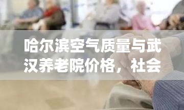 哈尔滨空气质量与武汉养老院价格,社会观察者的深度观察与剖析