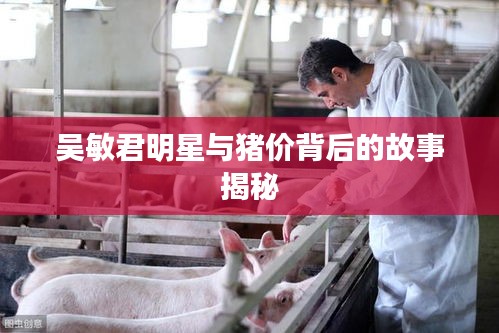 吴敏君明星与猪价背后的故事揭秘