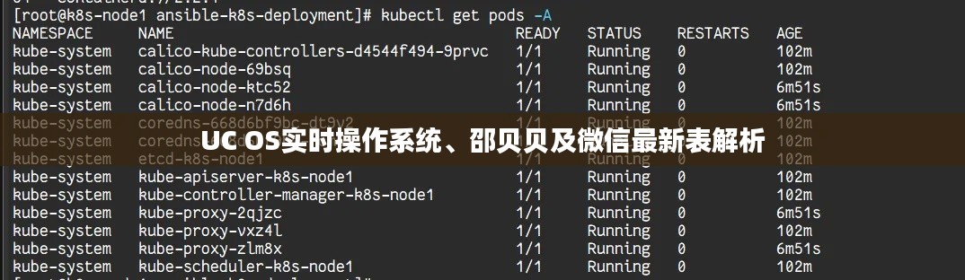 UC OS实时操作系统、邵贝贝及微信最新表解析