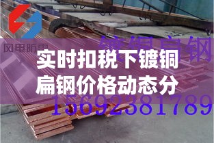 实时扣税下镀铜扁钢价格动态分析