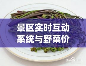 景区实时互动系统与野菜价格,旅游美食双重探索新体验