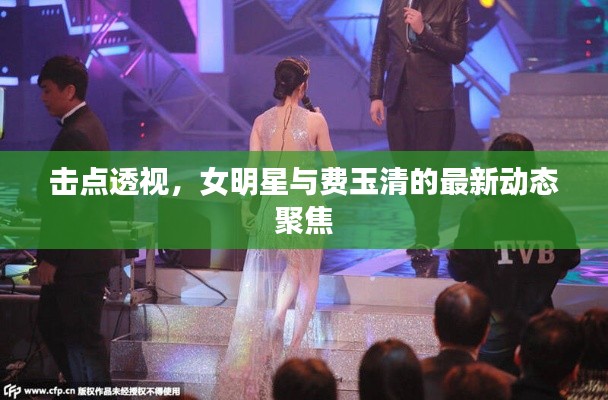 击点透视，女明星与费玉清的最新动态聚焦