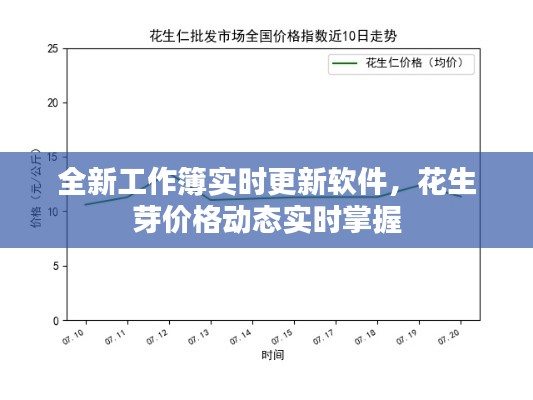 全新工作簿实时更新软件，花生芽价格动态实时掌握