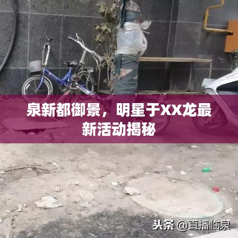 泉新都御景，明星于XX龙最新活动揭秘