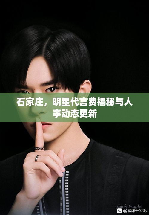 石家庄，明星代言费揭秘与人事动态更新