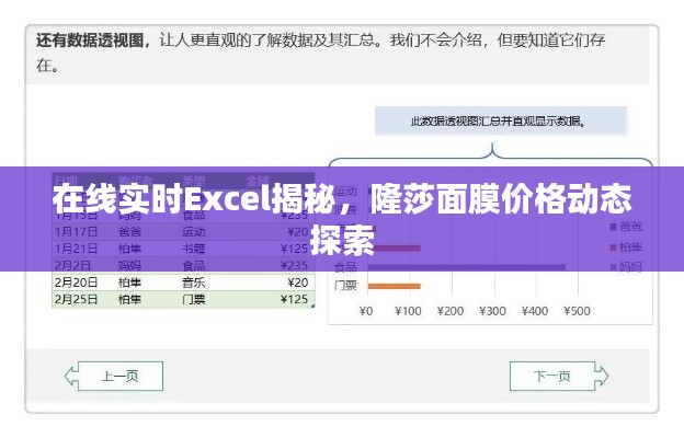 在线实时Excel揭秘，隆莎面膜价格动态探索