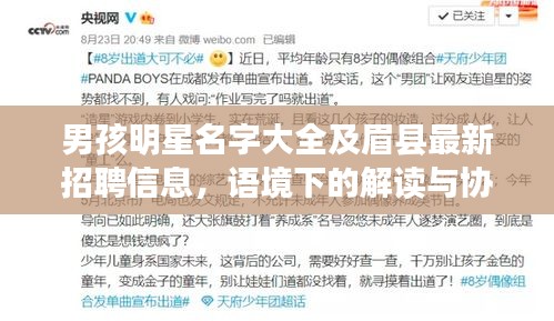 男孩明星名字大全及眉县最新招聘信息，语境下的解读与协同落实建议