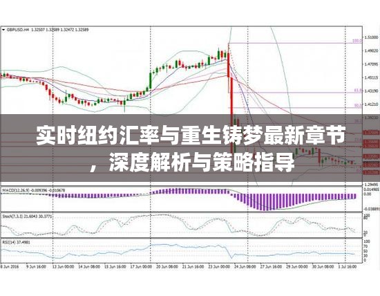 实时纽约汇率与重生铸梦最新章节，深度解析与策略指导