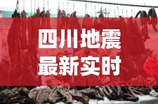 四川地震最新实时情况与体育用品发令枪价格探讨