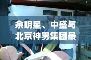 余明星、中盛与北京神雾集团最新动态聚焦