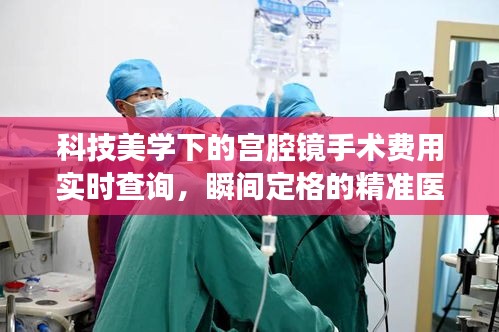 科技美学下的宫腔镜手术费用实时查询，瞬间定格的精准医疗与透明费用查询系统
