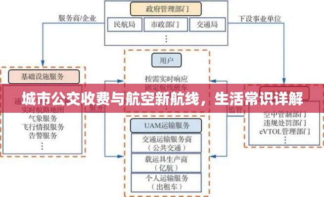 城市公交收费与航空新航线，生活常识详解