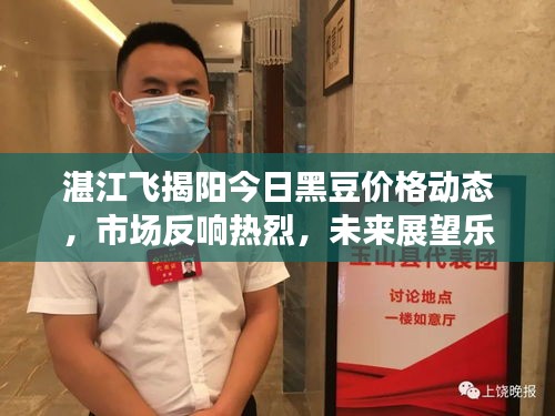 湛江飞揭阳今日黑豆价格动态，市场反响热烈，未来展望乐观