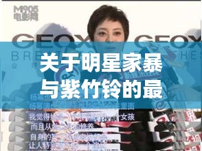 关于明星家暴与紫竹铃的最新话题探讨