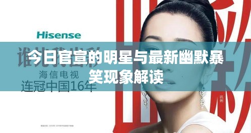 今日官宣的明星与最新幽默暴笑现象解读