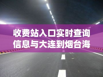 收费站入口实时查询信息与大连到烟台海底隧道最新进展解析