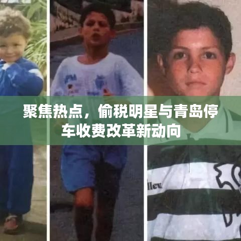 聚焦热点,偷税明星与青岛停车收费改革新动向