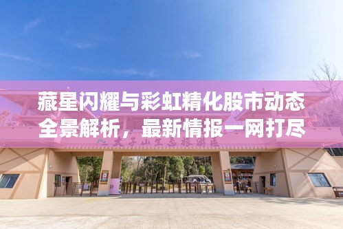 藏星闪耀与彩虹精化股市动态全景解析,最新情报一网打尽
