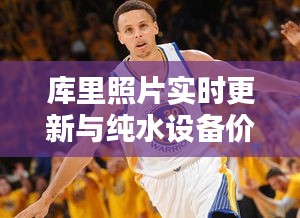 库里照片实时更新与纯水设备价格探讨，最新资讯与解析