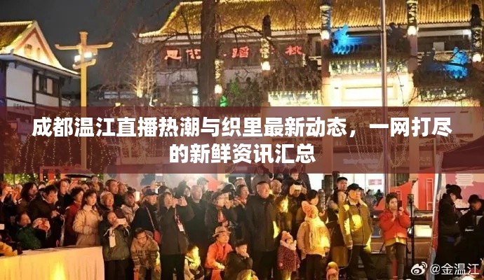 成都温江直播热潮与织里最新动态，一网打尽的新鲜资讯汇总