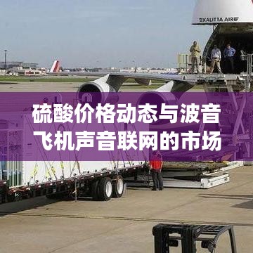硫酸价格动态与波音飞机声音联网的市场观察与技术探讨