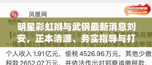 明星彩虹辫与武钢最新消息刘安，正本清源、务实指导与打假警示解析