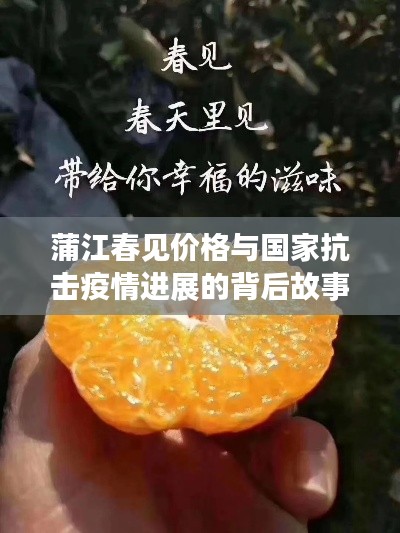 蒲江春见价格与国家抗击疫情进展的背后故事