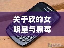关于欣的女明星与黑莓手机最新款的深度解析